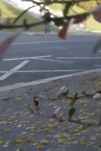 Innocent Model Needs To Piss Next To A Busy Road