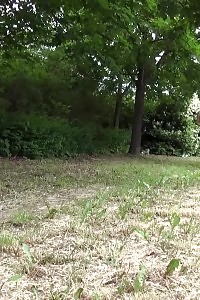 Good-looking Ginger Pisses Next To A Busy Road