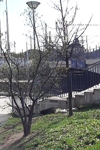 Breathtaking Black-haired Pisses Outside A Public Building