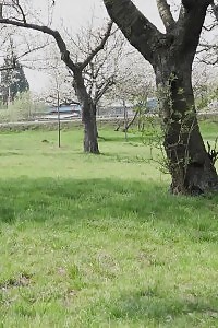 Public Pissing In The Woods For Magnificent Blonde