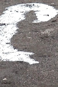 Erotic Blonde Slut Pisses Between Parked Buses