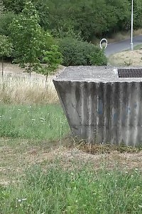 Brunette Model Sprays Her Golden Piss Onto The Grass