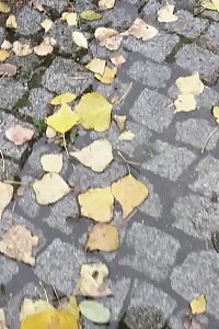 Legendary Blonde In Leapard Print Pants Pisses