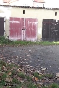 Blonde Princess Pissing Next To Some Garages